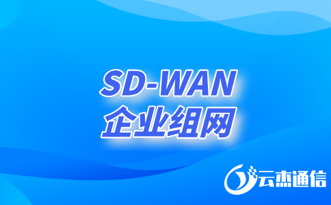 深入了解領(lǐng)先的SD-WAN服務商及其創(chuàng)新解決方案
