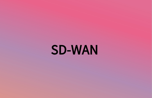 除連接性外，SD-WAN還提供很多網(wǎng)絡(luò)優(yōu)勢